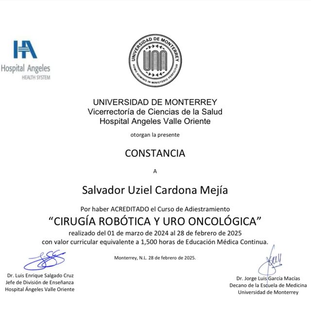 Ampliar imagen: certificate 4