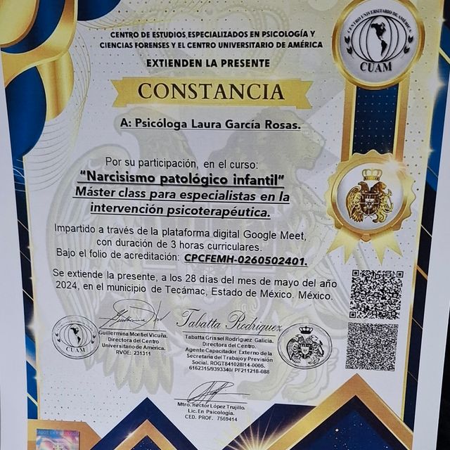 Ampliar imagen: certificate 10