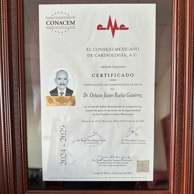 Ampliar imagen: certificate 1