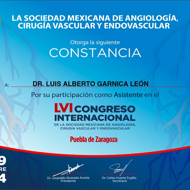 Ampliar imagen: certificate 3