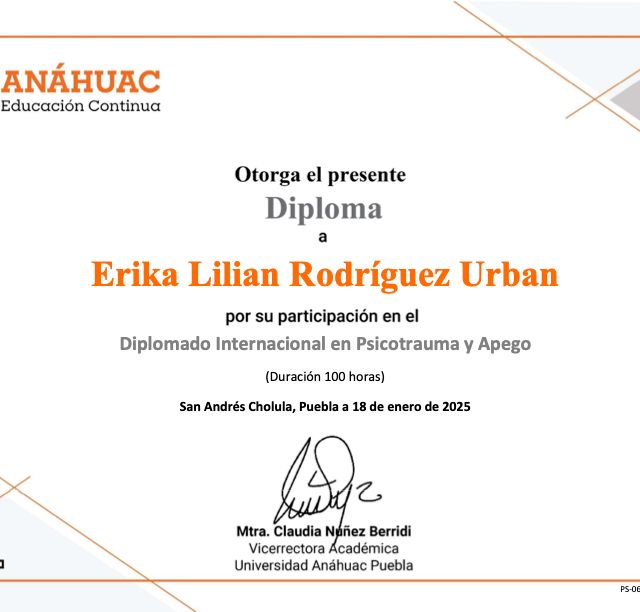 Ampliar imagen: certificate 5