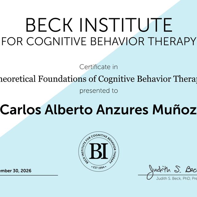 Ampliar imagen: certificate 8