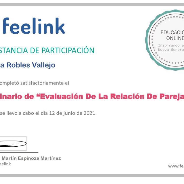 Ampliar imagen: certificate 14
