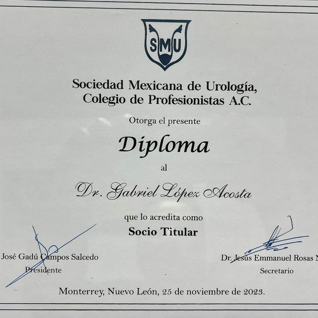Ampliar imagen: certificate 5