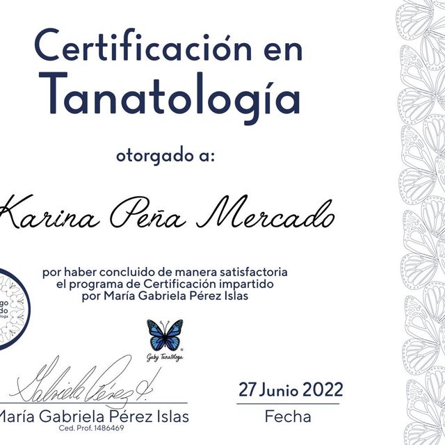 Ampliar imagen: certificate 3