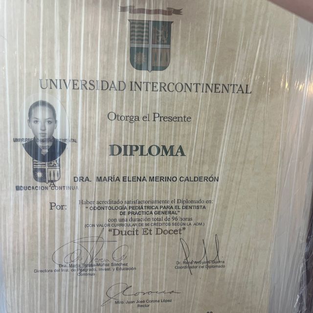 Ampliar imagen: certificate 4