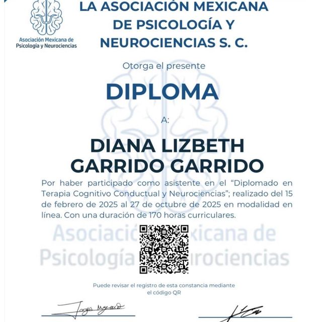 Ampliar imagen: certificate 3