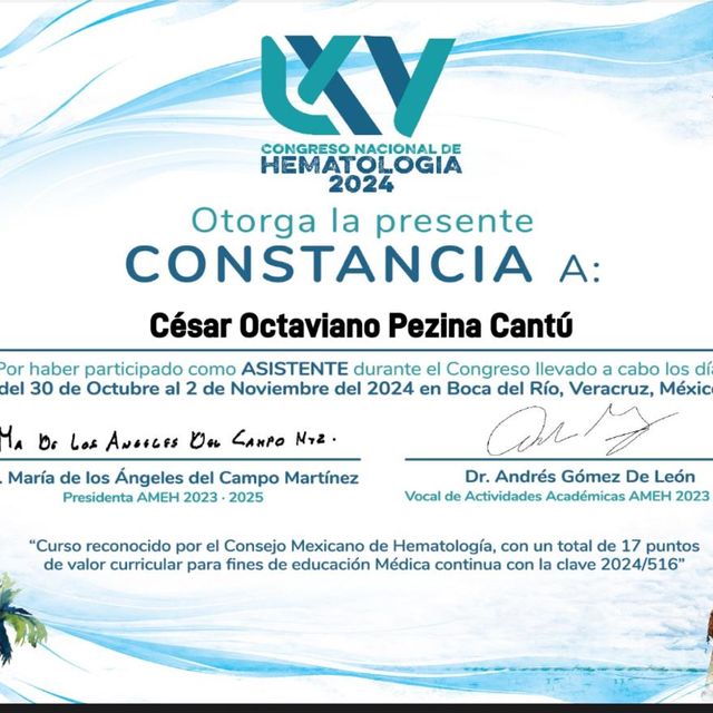 Ampliar imagen: certificate 2