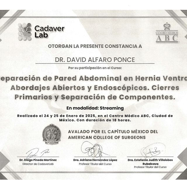 Ampliar imagen: certificate 7