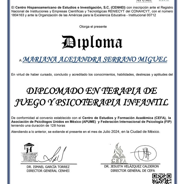Ampliar imagen: certificate 4