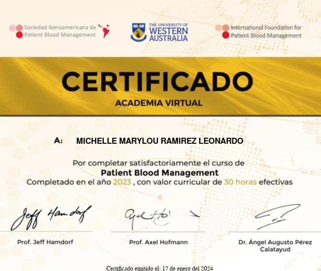 Ampliar imagen: certificate 2