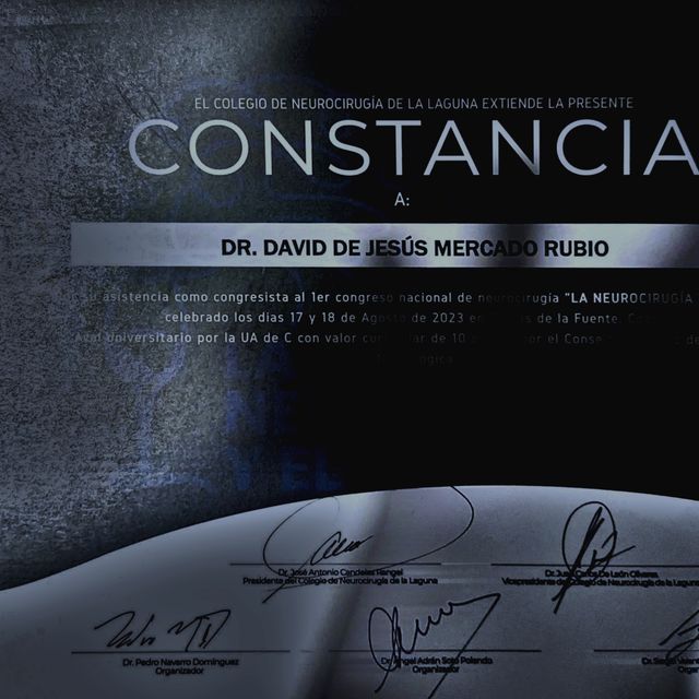 Ampliar imagen: certificate 8