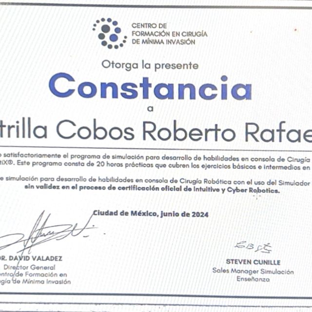 Ampliar imagen: certificate 8