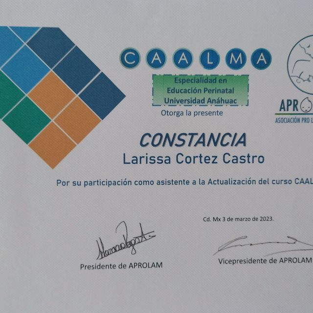 Ampliar imagen: certificate 6