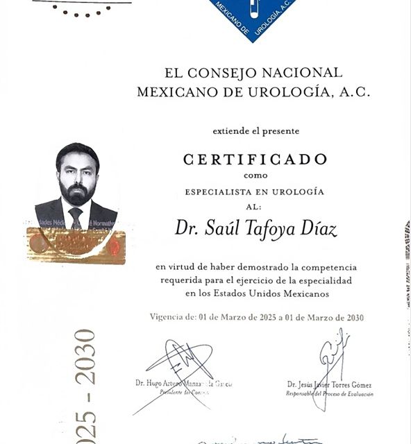 Ampliar imagen: certificate 1