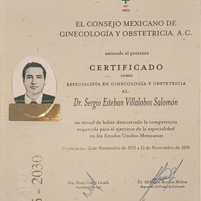 Ampliar imagen: certificate 4