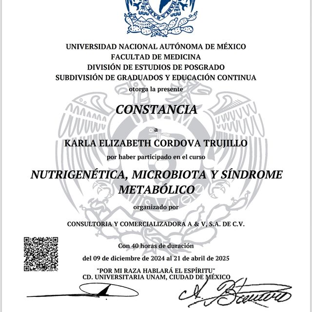 Ampliar imagen: certificate 13