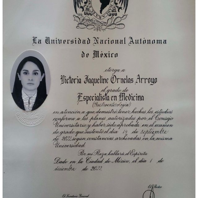 Ampliar imagen: certificate 3