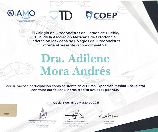 Ampliar imagen: certificate 5