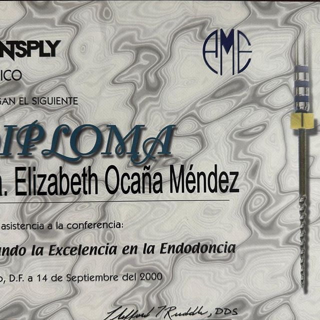 Ampliar imagen: certificate 13