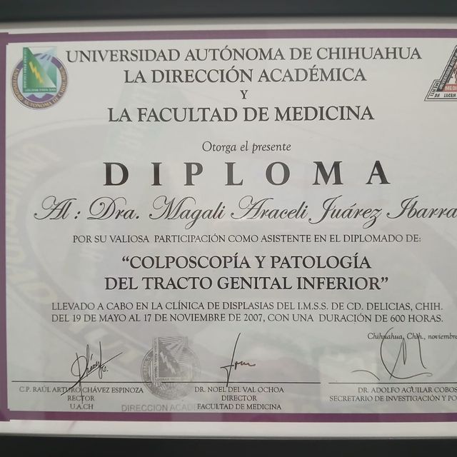Ampliar imagen: certificate 5