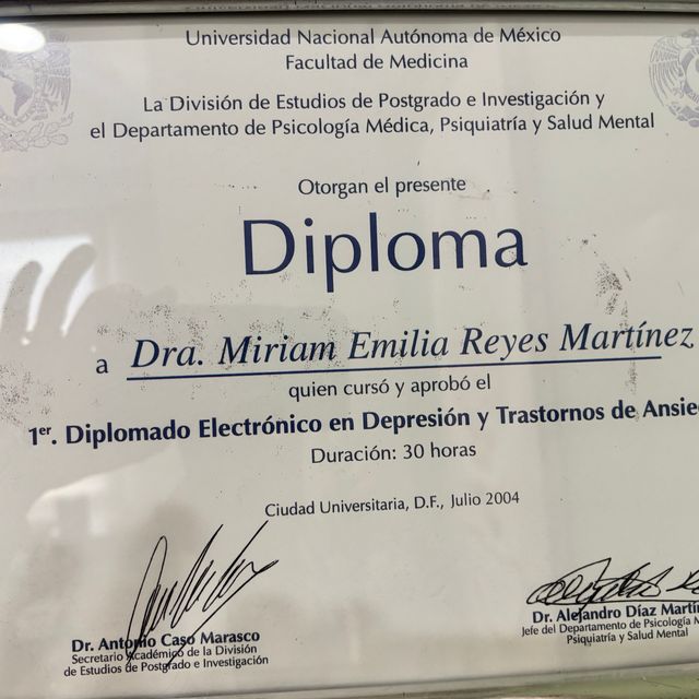 Ampliar imagen: certificate 31