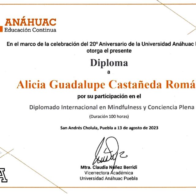 Ampliar imagen: certificate 2