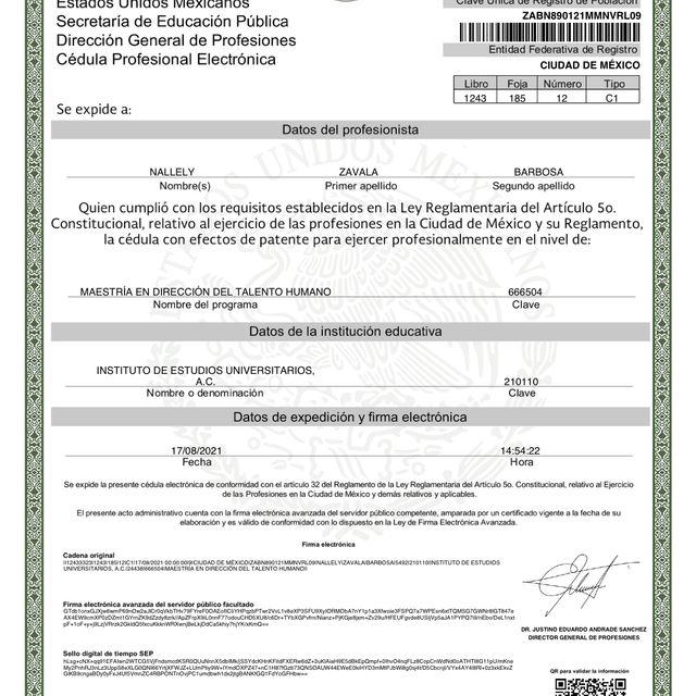 Ampliar imagen: certificate 5