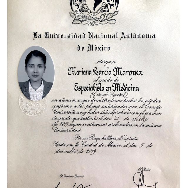 Ampliar imagen: certificate 4