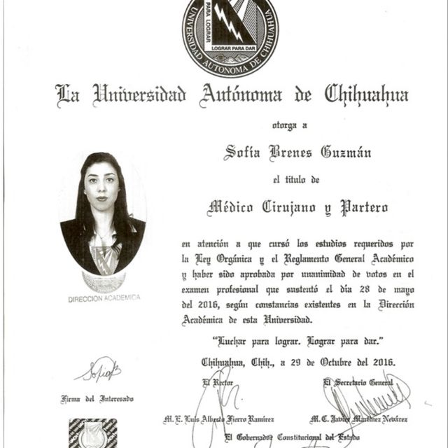 Ampliar imagen: certificate 3