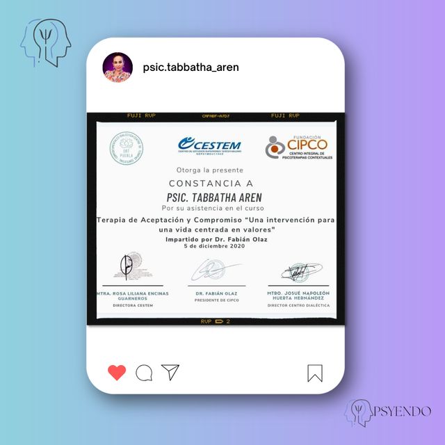 Ampliar imagen: certificate 1