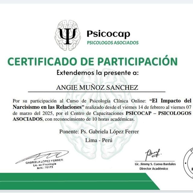 Ampliar imagen: certificate 10