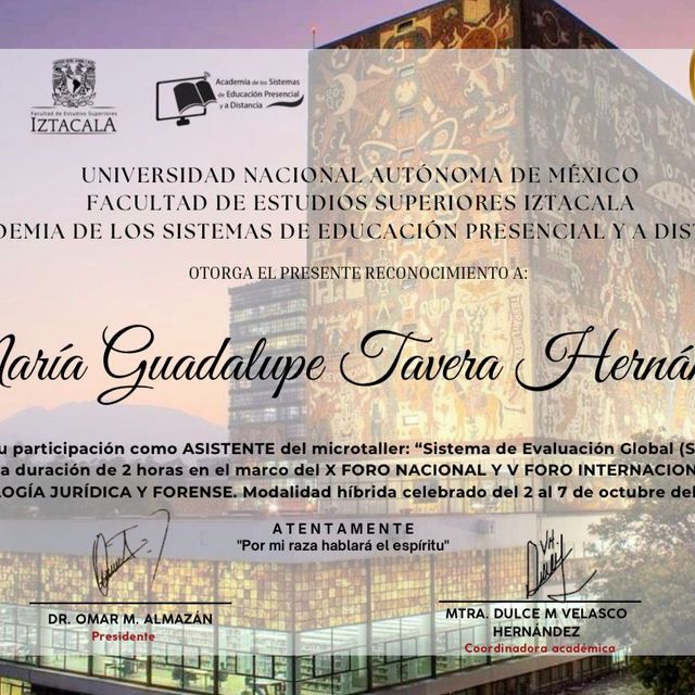 Ampliar imagen: certificate 57