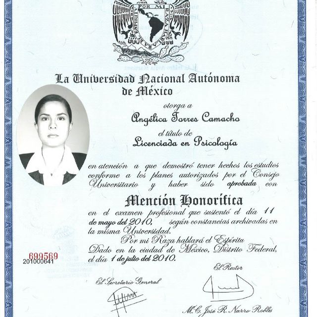 Ampliar imagen: certificate 1