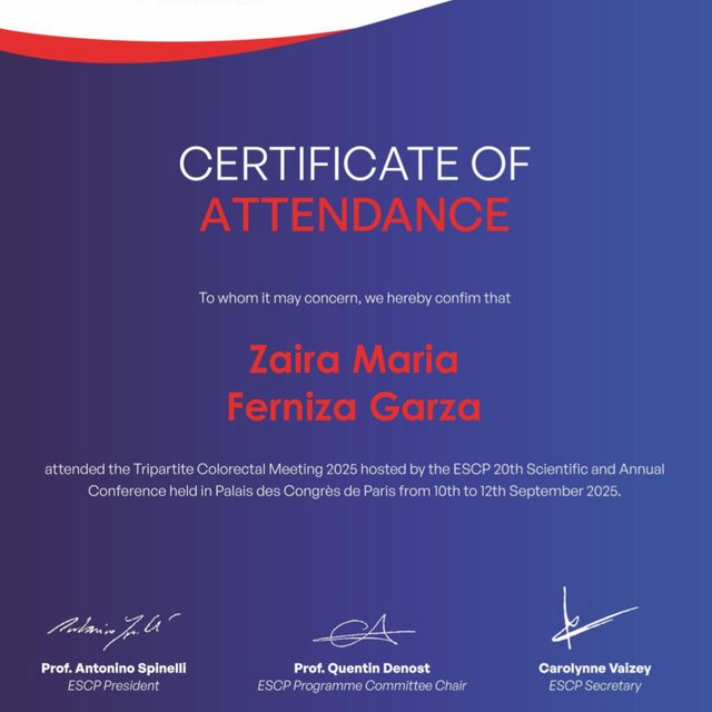 Ampliar imagen: certificate 2