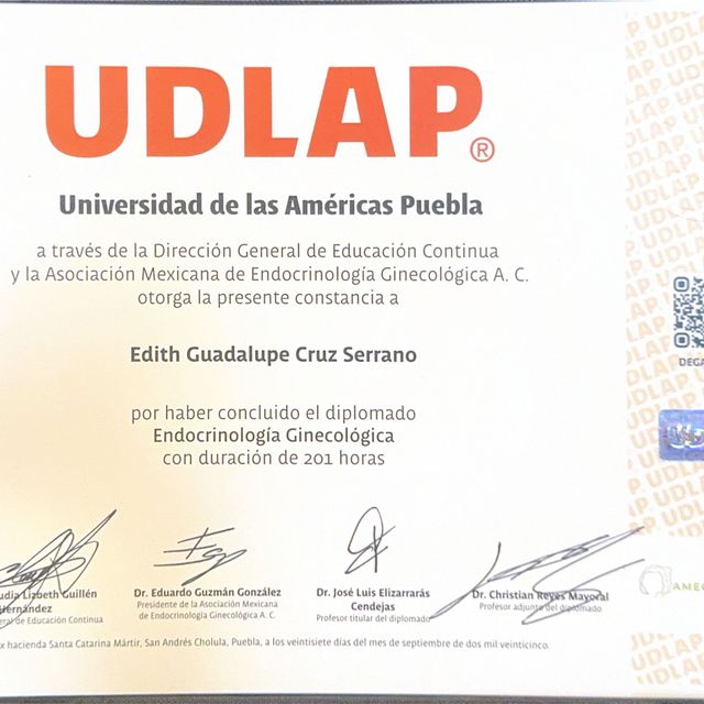 Ampliar imagen: certificate 2