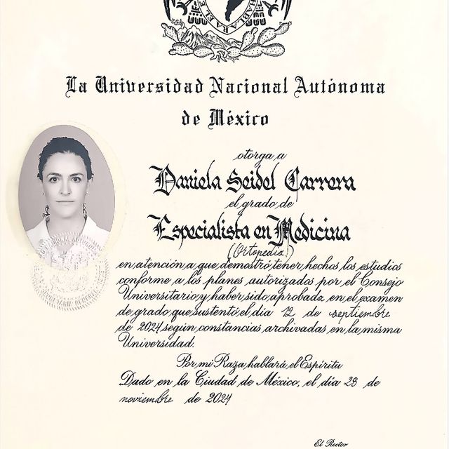 Ampliar imagen: certificate 2