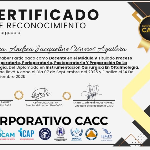 Ampliar imagen: certificate 2