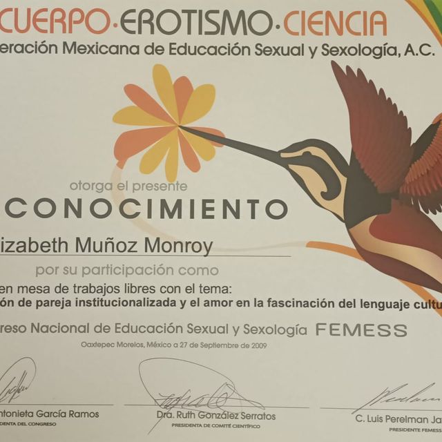 Ampliar imagen: certificate 4
