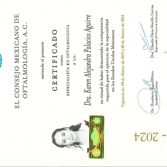 Ampliar imagen: certificate 3