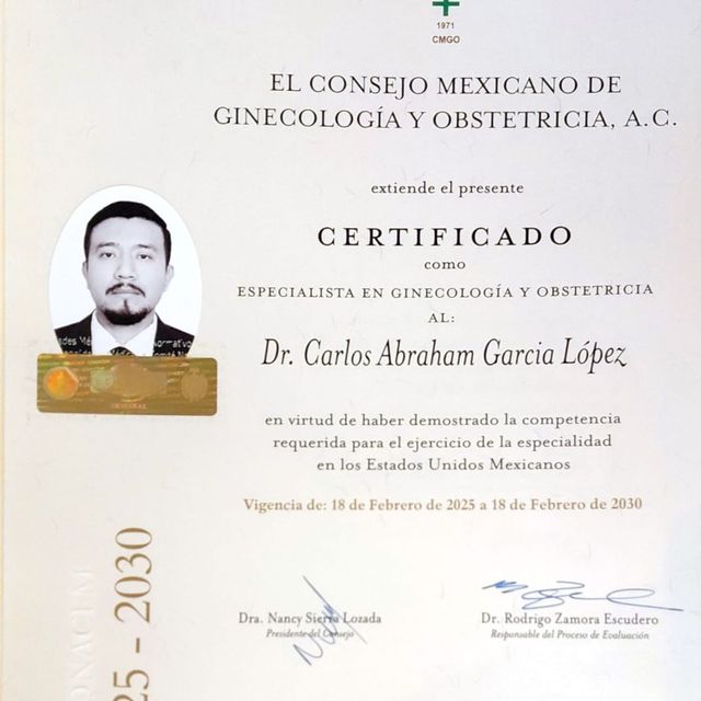 Ampliar imagen: certificate 1