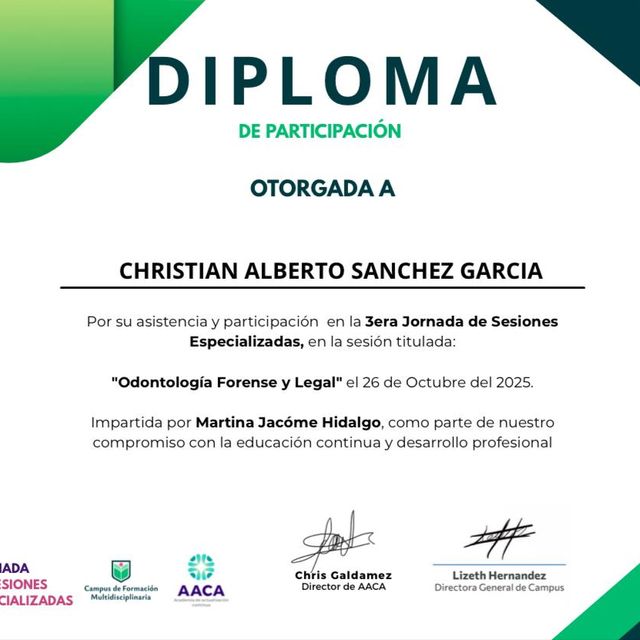 Ampliar imagen: certificate 13