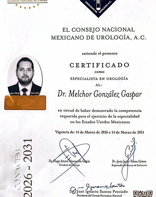 Ampliar imagen: certificate 2