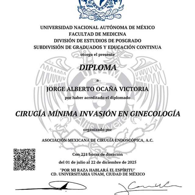 Ampliar imagen: certificate 7
