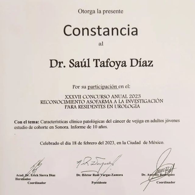 Ampliar imagen: certificate 6
