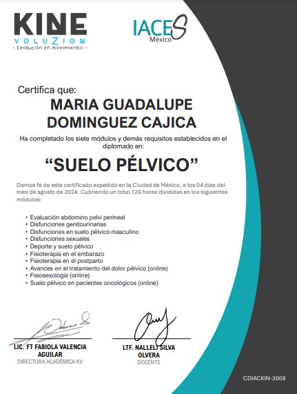 Ampliar imagen: certificate 5