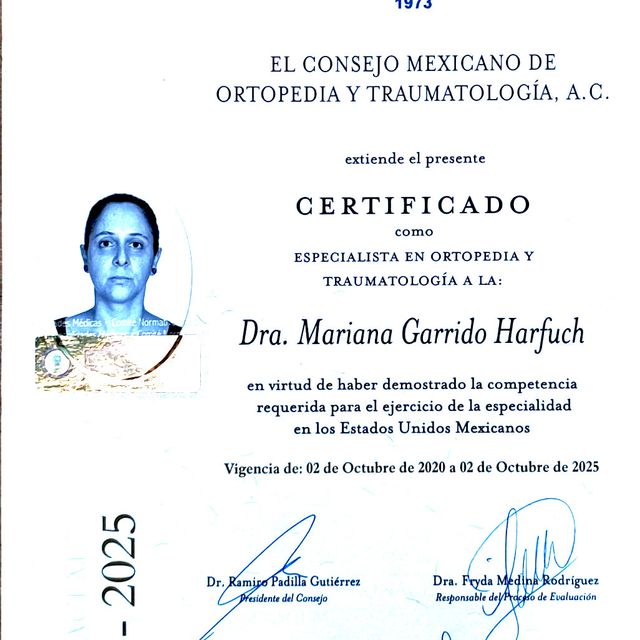 Ampliar imagen: certificate 5