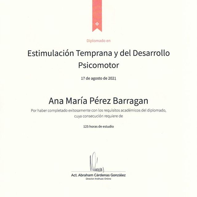 Ampliar imagen: certificate 13