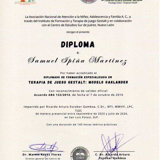 Ampliar imagen: certificate 2