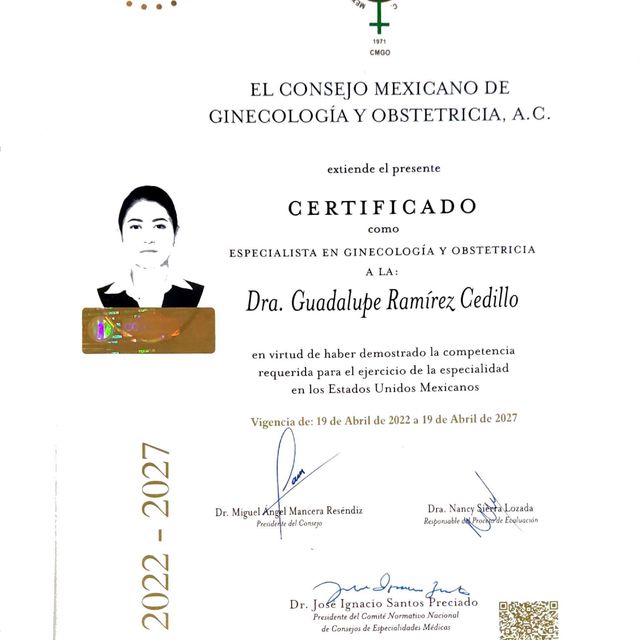 Ampliar imagen: certificate 1